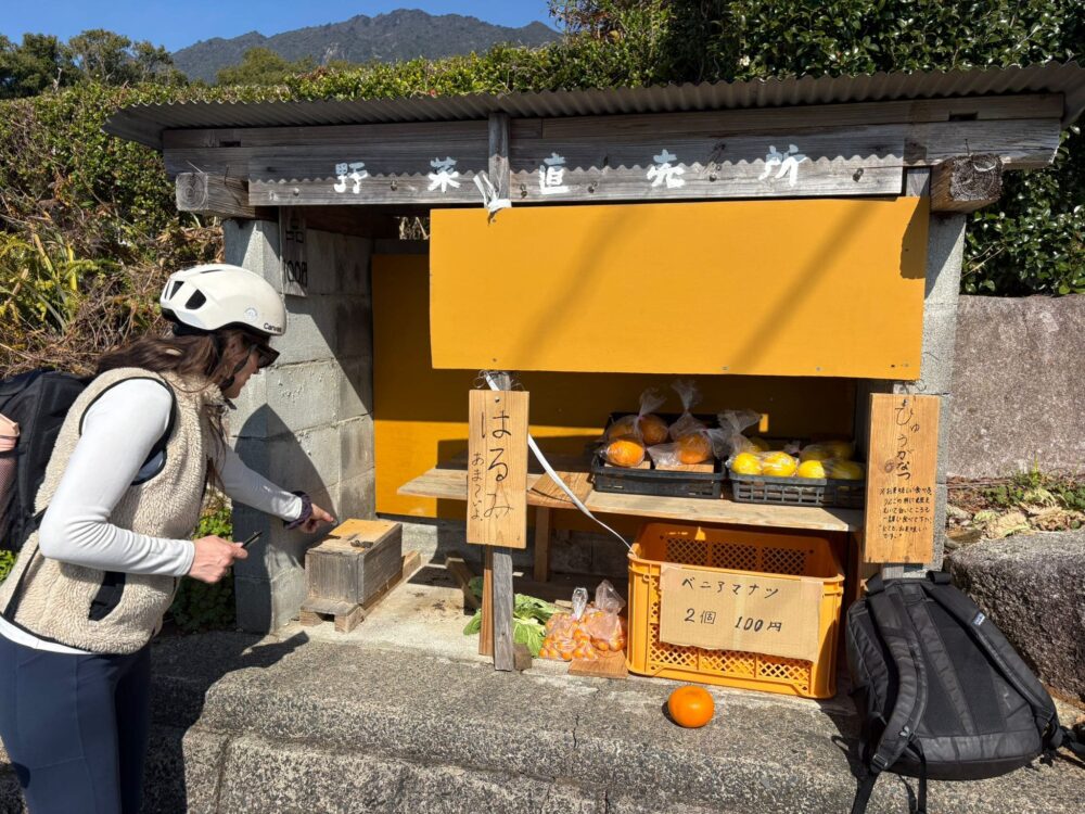 Yakushima, que mange-t-on sur l’île forêt millénaire ?